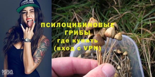 спиды Нея