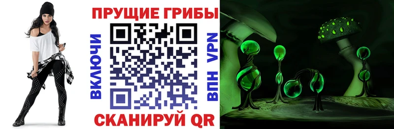 Галлюциногенные грибы Magic Shrooms  omg как зайти  Поронайск 